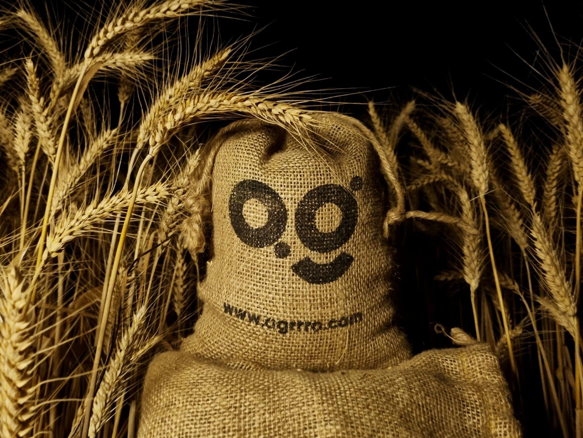 this is the beautiful and best handcrafted jute potli bag, jute gunny bag. Buy world's best handmade jute potli bag or jute gunny bag on www.agrrro.com. This is the best way to gift something to your loved ones.